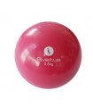 Weighted ball 500 g