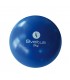 Balle lestée 2 kg