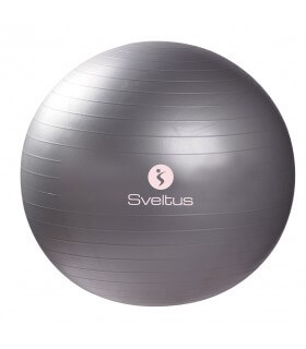 Gymball grijs Ø65 cm los