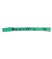 Elasti'ring 7 kg - green