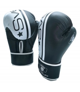 Gant boxe challenger taille 12oz x2