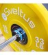 15kg Olympia-Barren - hellblau