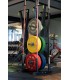 Olympic plates and bars rack