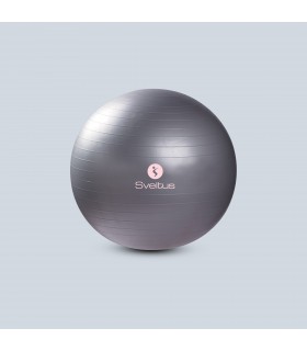 Gymball grey Ø65 cm bulk