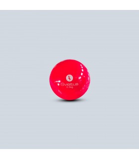 Pelota lastrada