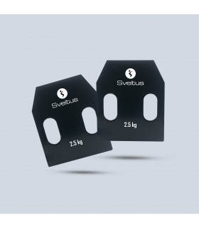 Plaque acier avec poignées 2,5 kg x2