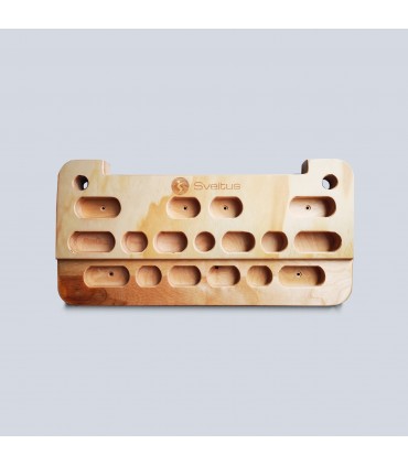 Fingerboard