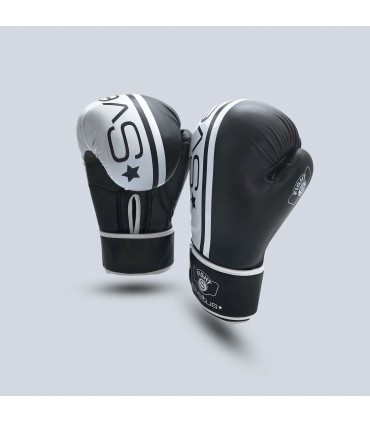 Challenger boxing glove x2